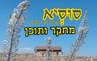 מידע נוסף (8)