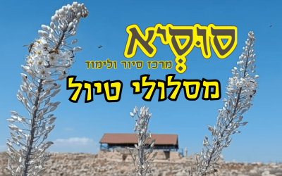 מידע נוסף (9)